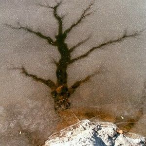 Meet your Posher, Jeremy